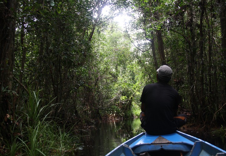 Varen door Sebangau NP, Kalimantan