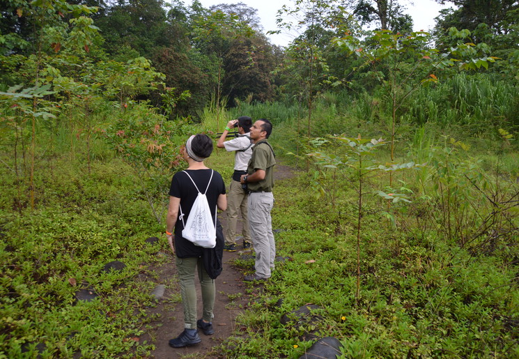 Selva-Verde-Lodge-Birdwatching-tour-4(8)