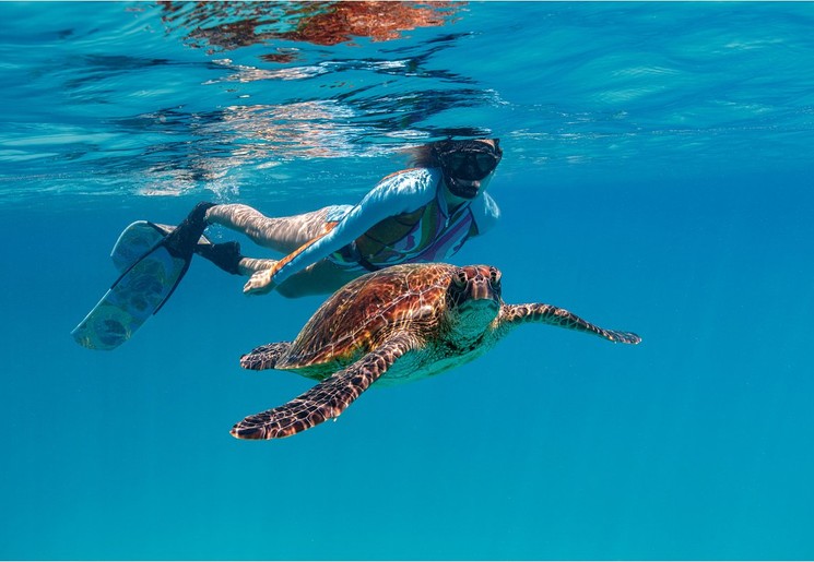 Zwemmen met schildpadden bij Koh Tao