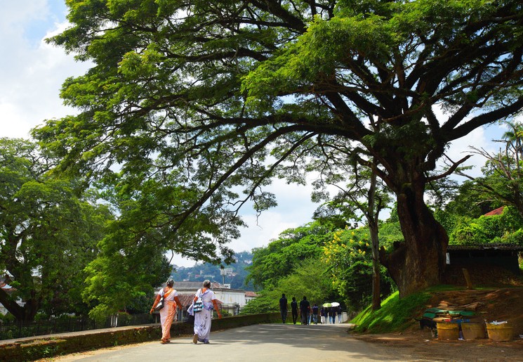 Dames in traditionele kleding lopen langs het meer in Kandy, Sri Lanka