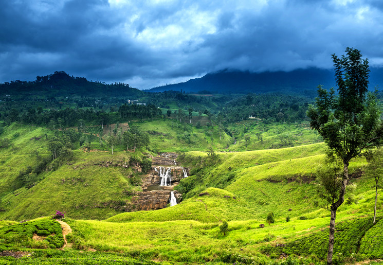 Theeplantages bij Nuwara Eliya, Sri Lanka