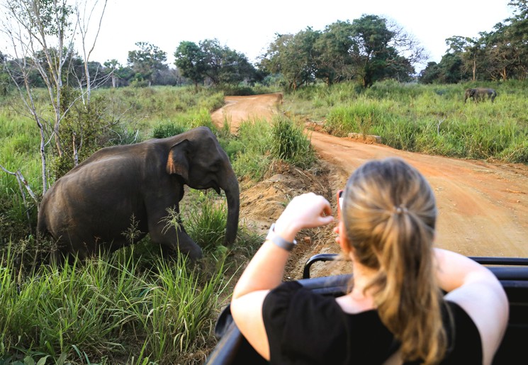Rowan met olifant tijdens een safari in Sri Lanka