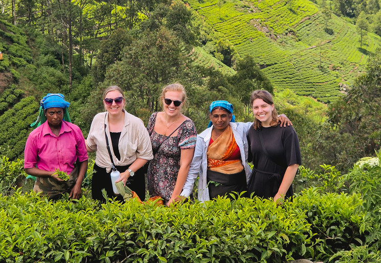 Bandarawela tussen de theevelden, Sri Lanka