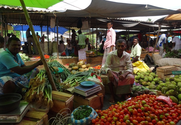 Lokale markt, lokale producten in Sri Lanka