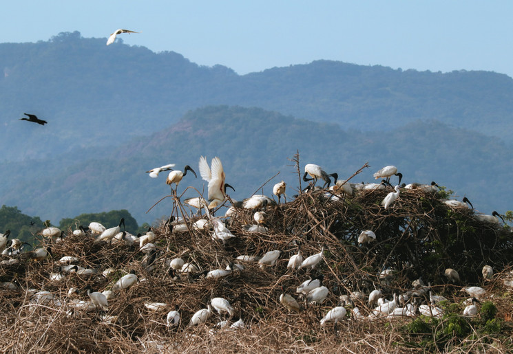 Ontdek de ongerepte natuur van Gal Oya National Park