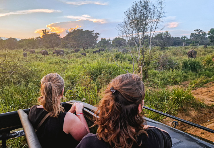 Olifanten safari in Sri Lanka