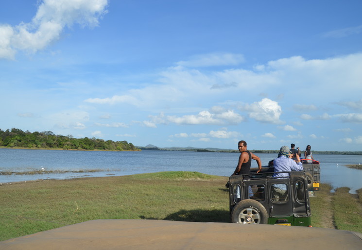 Spot de olifanten onderweg in Minneriya National Park