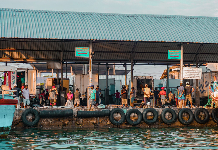 Maak kennis met de lokale viscultuur van Sri Lanka