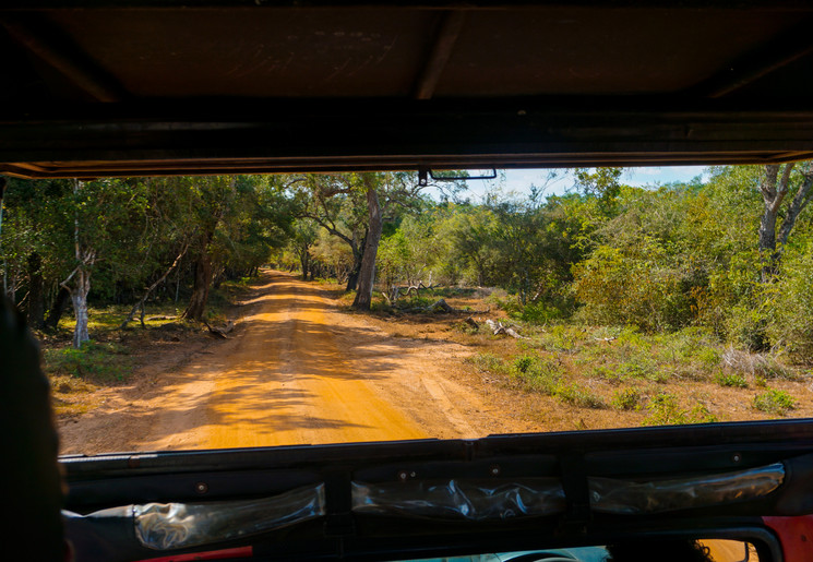 Op Safari in Sri Lanka
