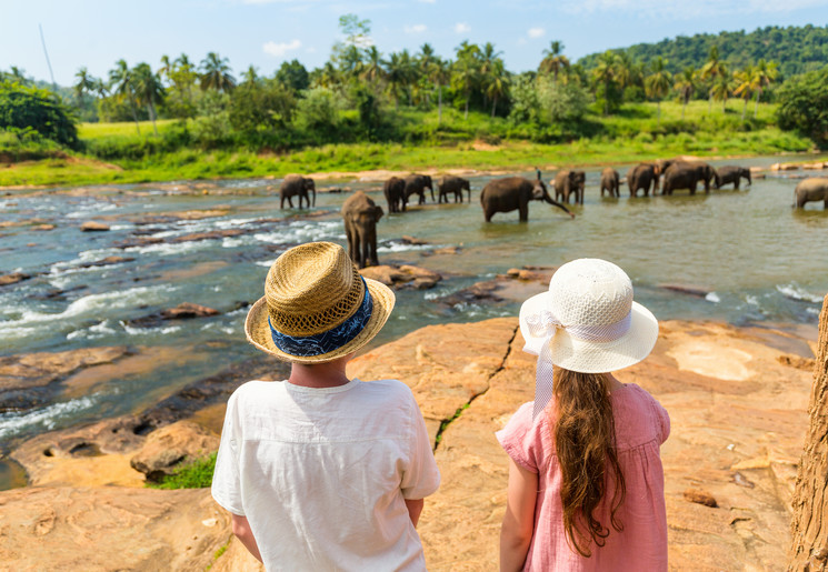 Olifanten spotten in Sri Lanka