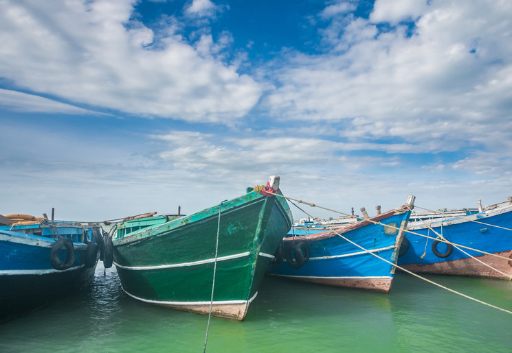 Gekleurde boten in Jaffna, Sri Lanka