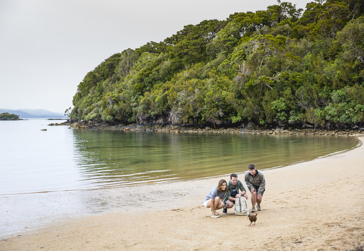 Wildlife spotten op Stewart Island in Nieuw-Zeeland