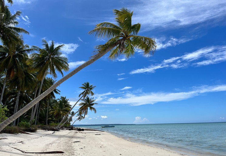 Strand met palmbomen op Kaniungan