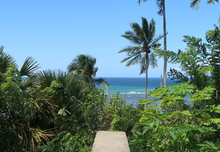 De kust van Tomohon, Sulawesi