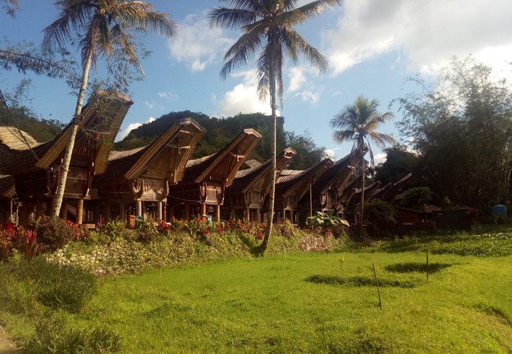 De traditionele Tongkonanhuizen van Torajaland, Sulawesi