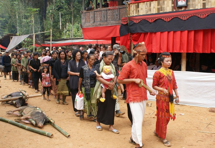 Sulawesi-Torajaland-ceremonie_1