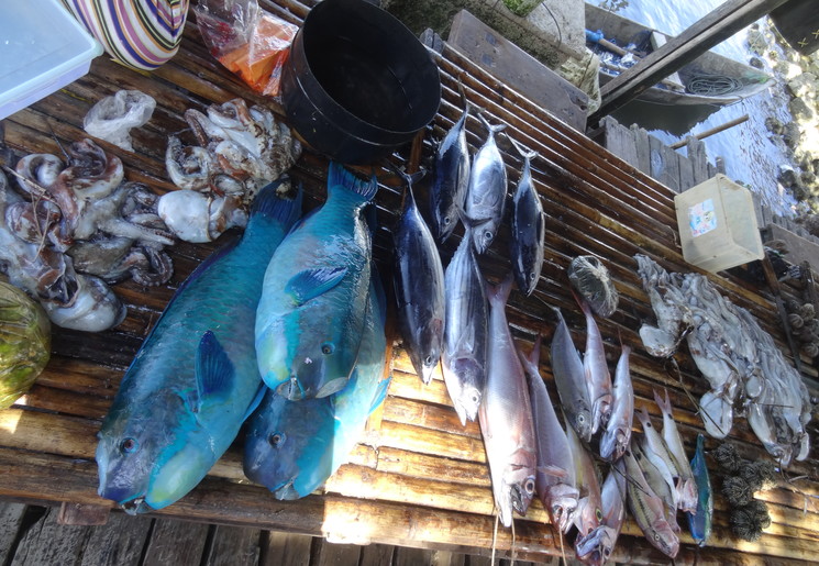 De vismarkt van Wakatobi, Sulawesi