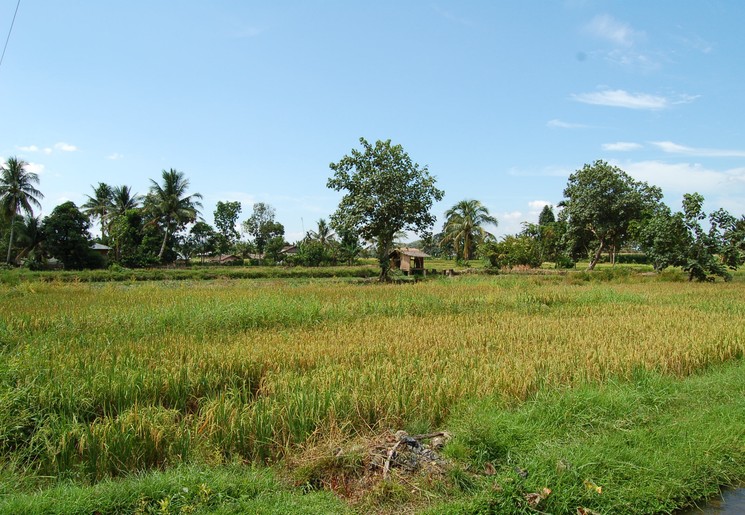 Sumatra-Brastagi-landschap