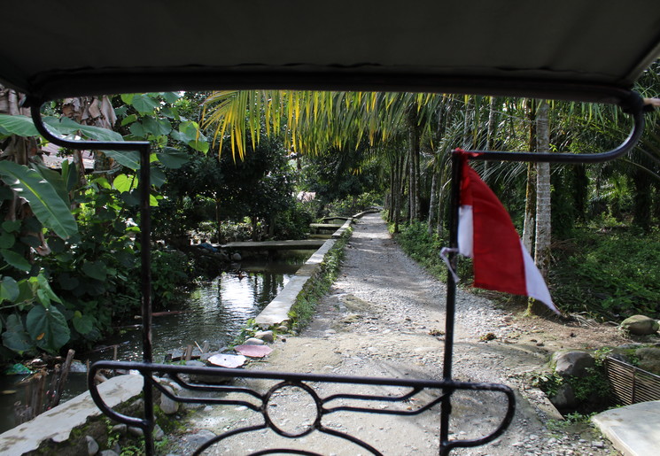 Maak een leuk tochtje in een Betjak door Bukit Lawang