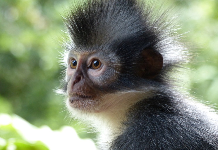 fdb4522f-875b-44ef-819e-a8f58c6b75da