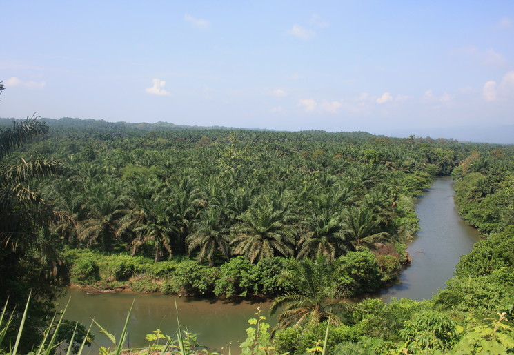 Sumatra-Bukit-Lawang-Uitzicht_1_405825