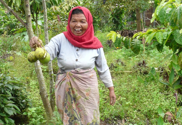 Sumatra-Bukittinggi-Local_1_393839