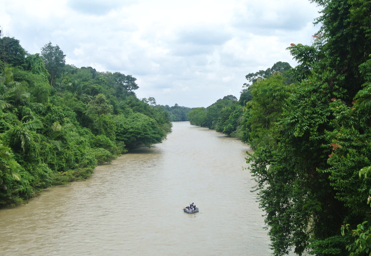 Tuben door de rivier in Tangkahan, Sumatra