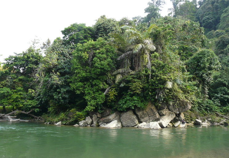 Per tube vaart u langs de groene natuur van Tangkahan, Sumatra