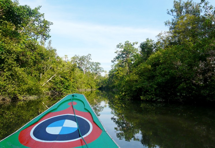 Sumatra-Way-Kambas3_1_393282