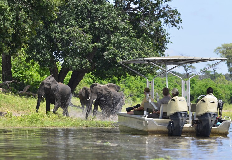 Chobe National Park bezoeken tijdens een rondreis Botswana