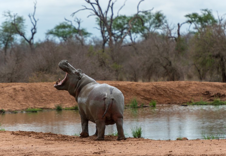 6707d1da-c066-4b8d-a0cb-267fe614c65e