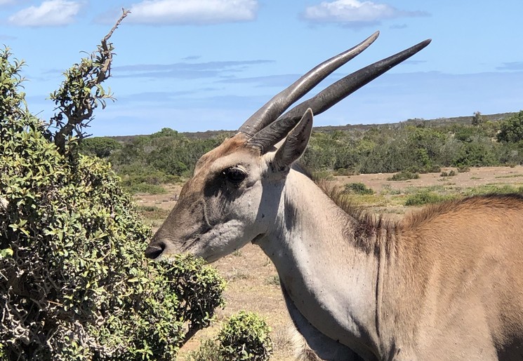 c95eb718-101f-4dd1-a6a9-25424ccf91ed