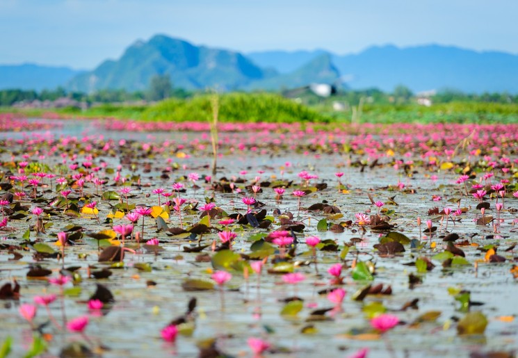 Onontdekte plekken in Zuid-Thailand