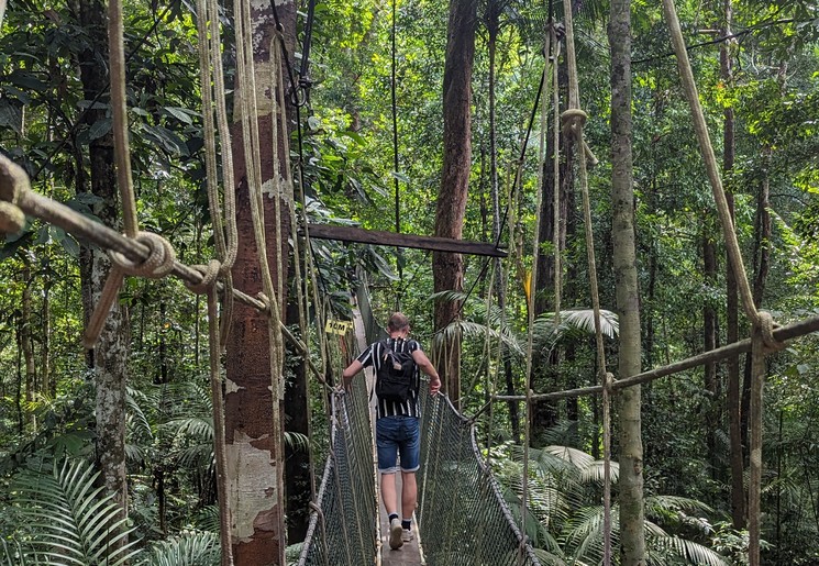 Canopy walk in Taman Negara, Maleisië Canopy walk in Taman Negara, Maleisië
