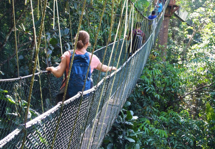 Canopy walk in Taman Negara