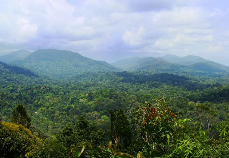 TamanNegara-landschap