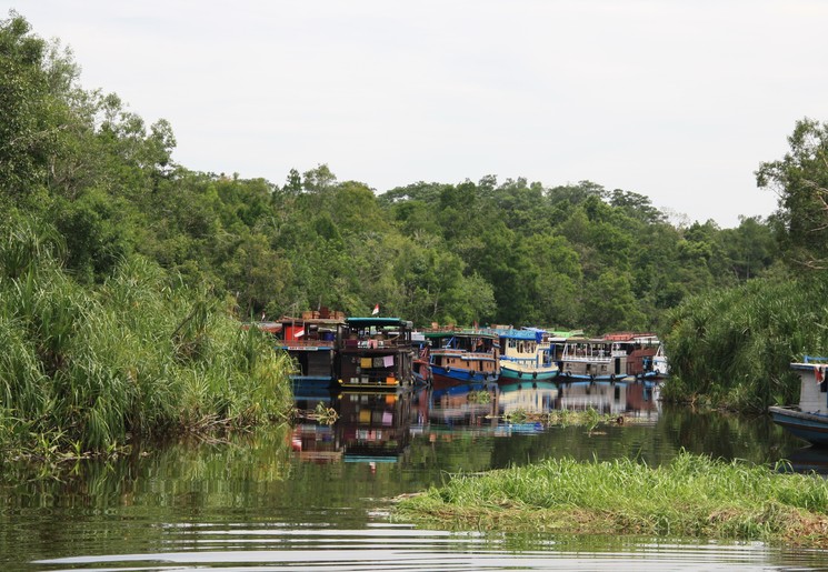 Tanjung Puting National Park