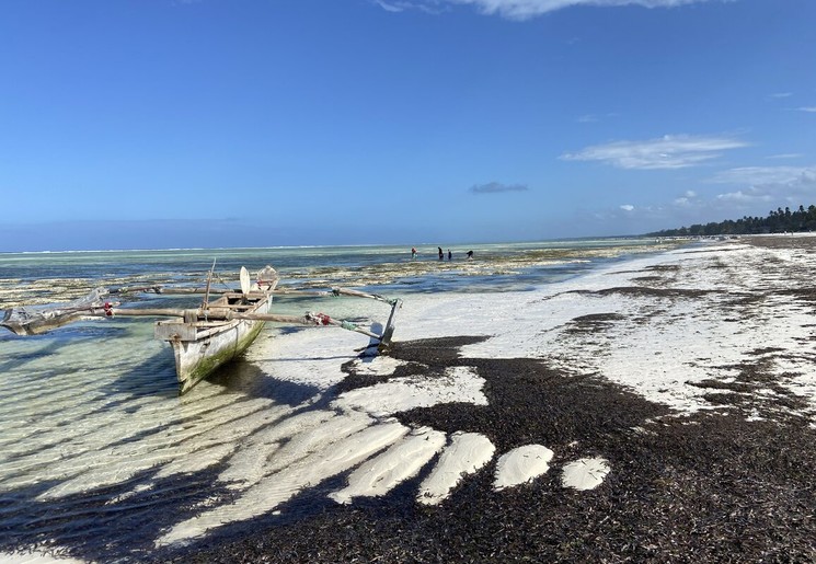 Zanzibar kent extreme getijden Zanzibar kent extreme getijden