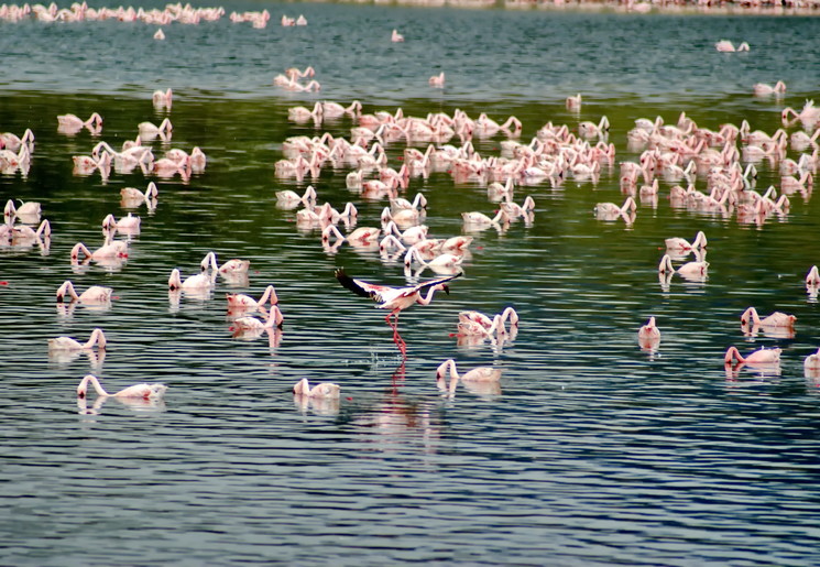 52949436-cd76-442c-bb64-3e561e8b6a03