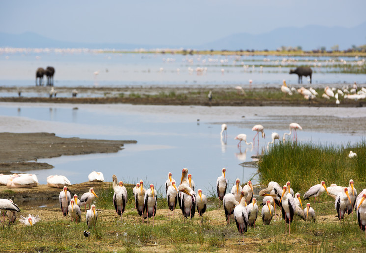 d68ac1bd-19bf-41c5-a1fb-52e9a534c07f