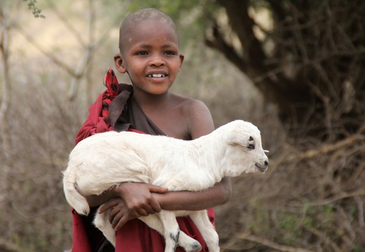 Een Masai kindje op pad met zijn schaapje