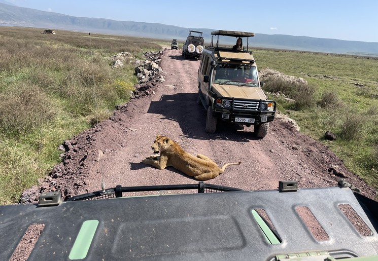 Onderweg naar de bodem van de Ngorongoro