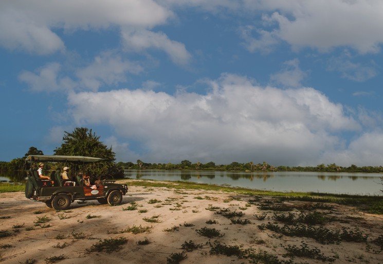 Spannende safari's in Nyerere National Park, Zuid-Tanzania