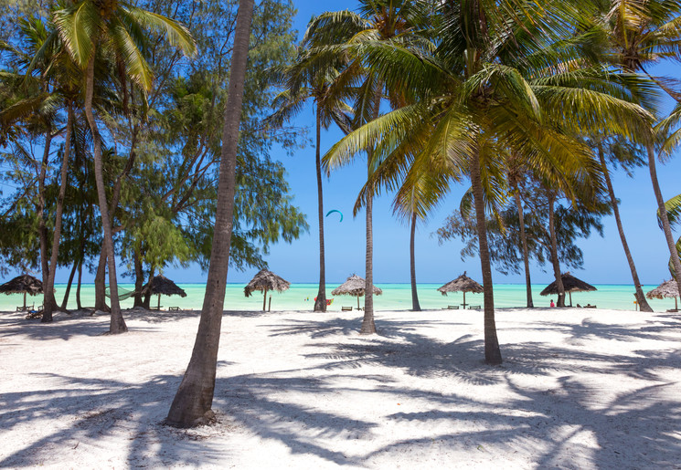 Strandvakantie Zanzibar combineren met een safari Tanzania