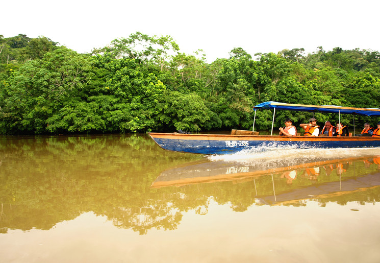 Spot wildlife in de Amazone