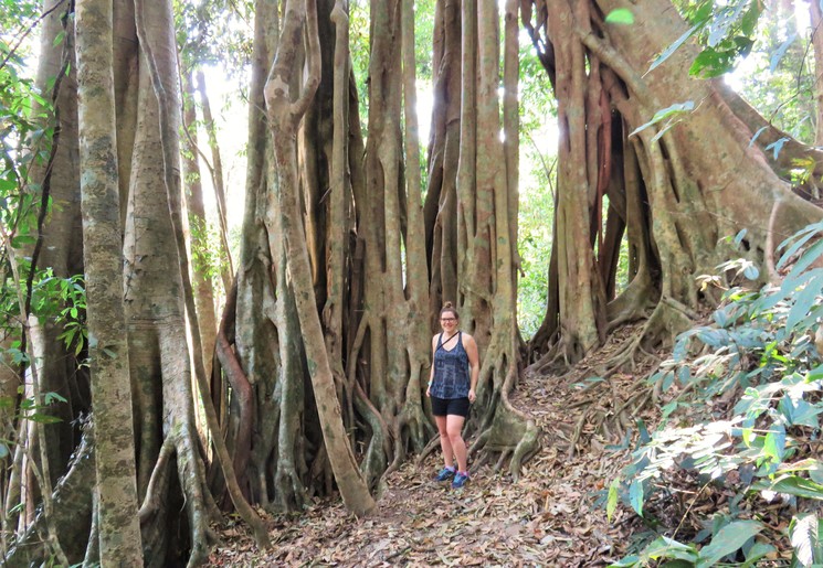 Collega Nicole in Thailand Doi Pui National Park