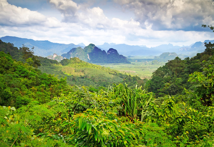 Khao Sok National Park natuur, Thailand