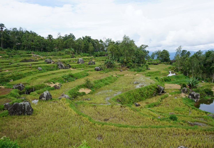 Tana Toraja, Sulawesi Indonesië