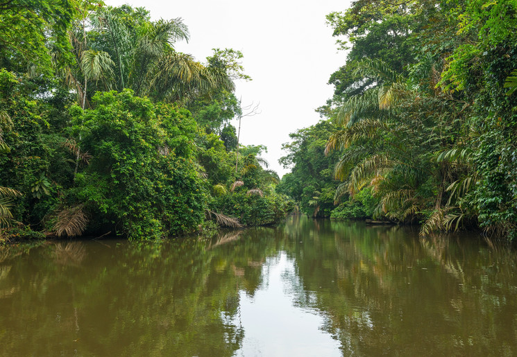 Tortuguero National Park, Costa Rica