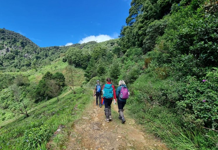 langs groene velden bij Nuwara Eliya, Sri Lanka